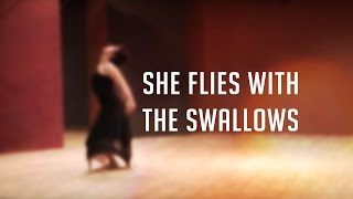 She Flies With The Swallows
