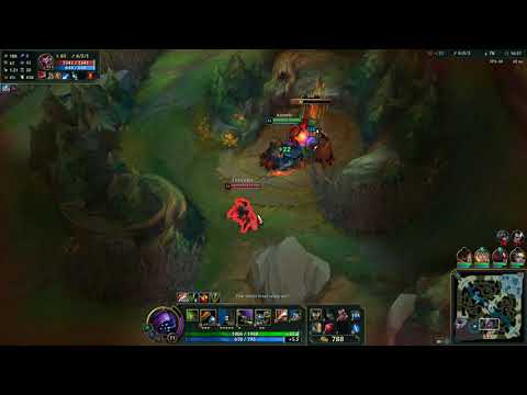 Clean Jax Jungle