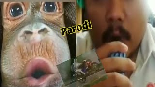 Download lagu Parodi lagu pesona indonesia ( 62) mp3