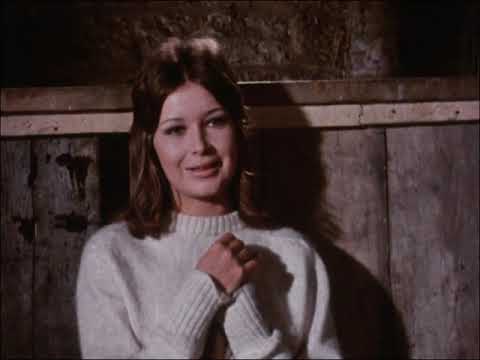 Die Follyfoot Farm Staffel 01-07 (Die Rosskur)