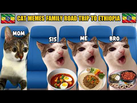 CAT MEMES FAMILY ROAD TRIP TO ETHIOPIA