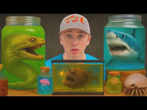 Ho scoperto le creature marine più letali sul Dark Web!