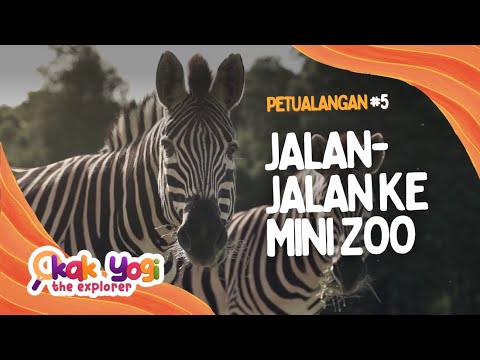 Kak Yogi The Explorer #5: Jalan Jalan ke Mini Zoo