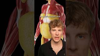 Triglycerides Rise Before Blood Sugar — Full Breakdown & Transcript