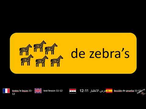 Toets les 11 en 12 van Leer Nederlands met plaatjes - A1 level