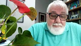 Miniatura do vídeo