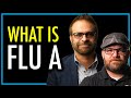 What is Flu A? | Influenza A | theSITREP