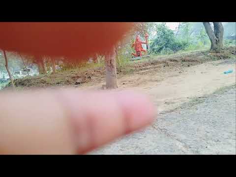 Dead Day Revolution - Vampire Blues Official Music Video (Short Version)