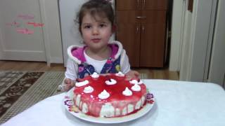 Pratik Orman Meyveli YaÅŸ Pasta Tarifi - Pasta Tarifleri