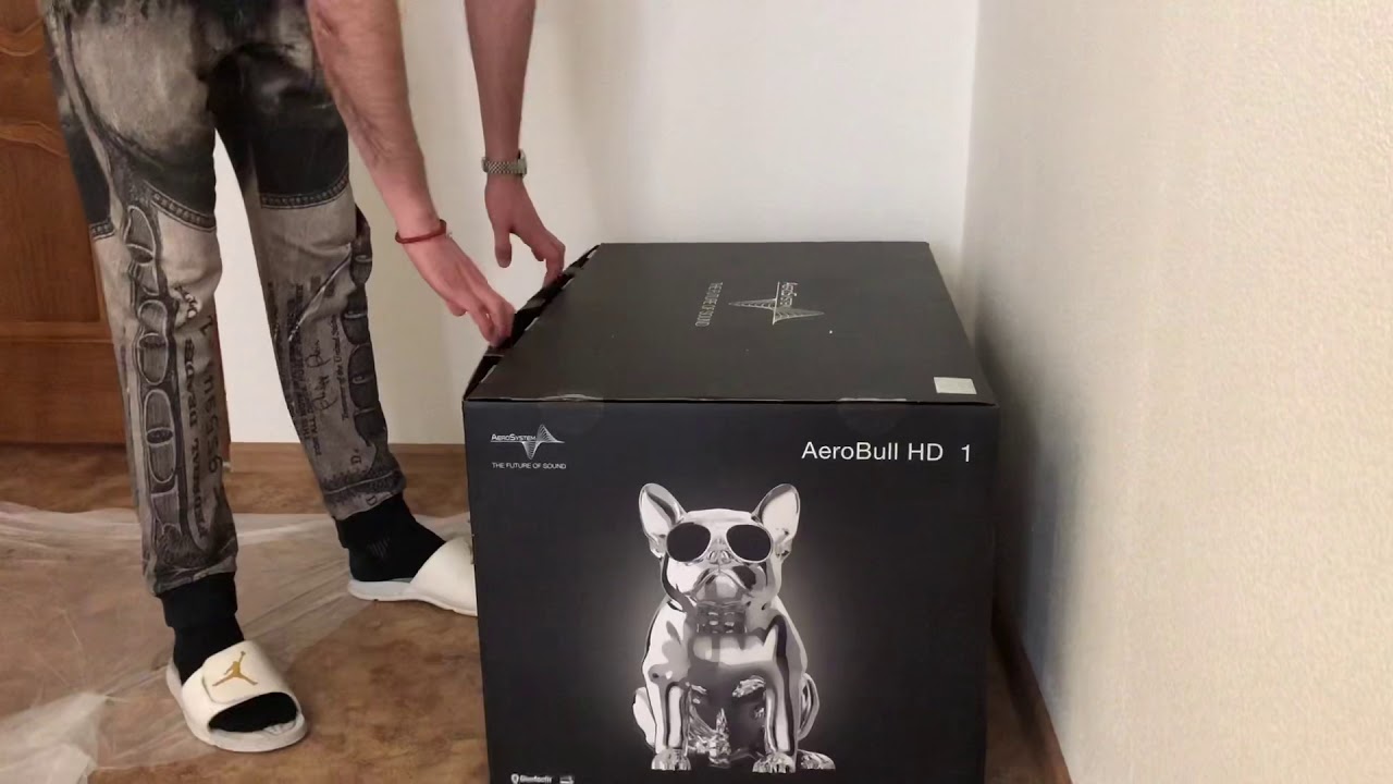 Портативная колонка AEROSYSTEM Aerobull HD1, белая