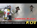Tutorial Membuat Layangan IKAN KOI Lengkap Dari Awal Sampai Tes Terbang