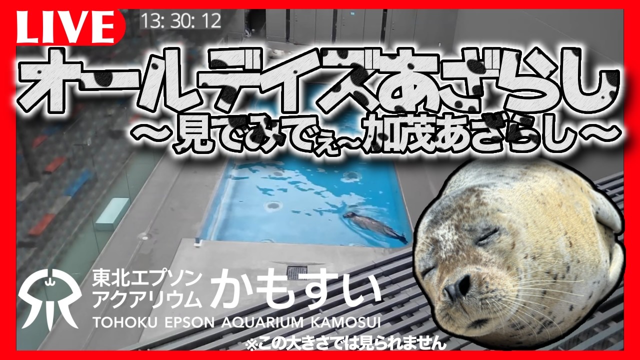 【無料公開】　オールデイズあざらし ～見でみでぇ加茂あざらし～