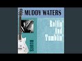 Standing Around Crying - Muddy Waters - Topic Standing Around Crying