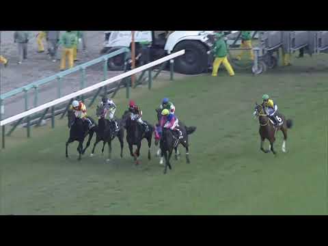 駿天宮    21/11/14……( S1 )第四塲黃菊賞2000米