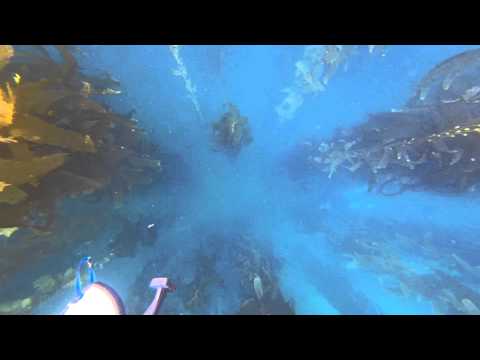 kp freezing his ass off