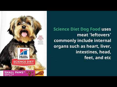 Science Diet Dog Food Reviews | petsmatters.net