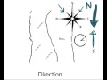 Wind Direction