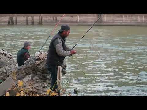 NY Free Fishing Weekend