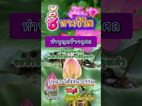 คลิกเพื่อดูคลิปวิดีโอ