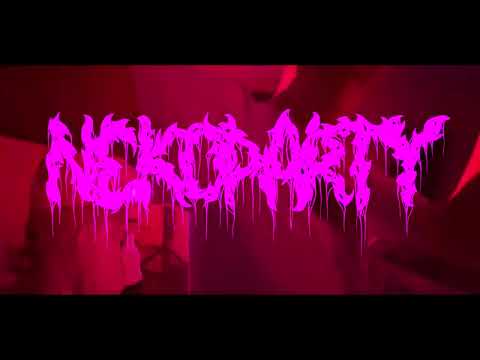 NekoParty - No Going Back (Official Live Music Video)