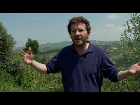 Alfio Cavallotto speaks of Barolo wine, Nebbiolo grapes and the Piedmont region