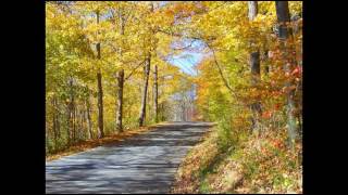 The Low Anthem- A weary horse can hide the pain