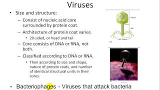 Plant Diseases: Viruses