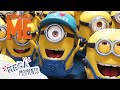 Ultimate Despicable Me Special ️ Despicable Me 1 4 Compilation Movie Moments Mega Moments