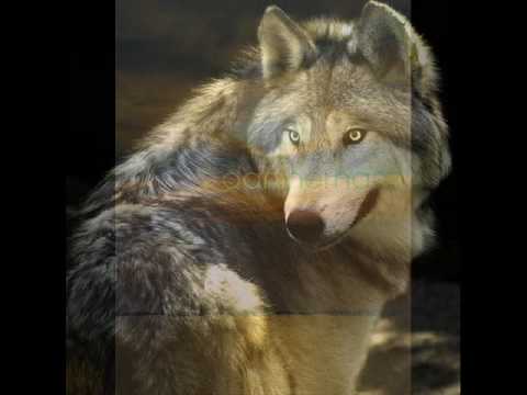 ELA MIA VOLTA.. AGNWSTOS XEIMWNAS-LOOPA-DJRSN.