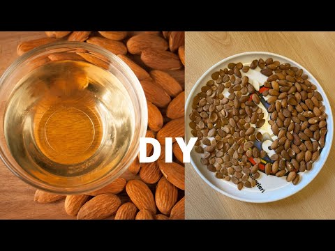 Almond Oil Diy | How TO Make Apricot oil