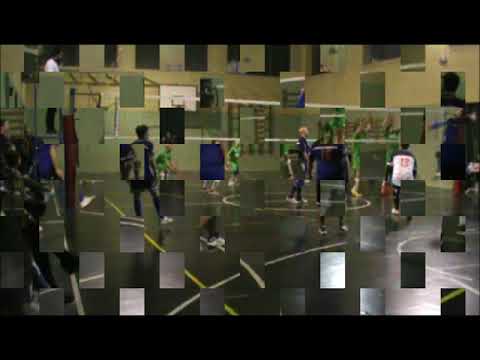 ASD FREE FOX - VOLLEY SALA