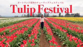 【アメリカ生活】チューリップフェスティバルに行ってきた！ #国際結婚