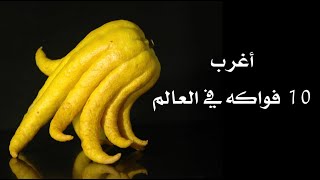 أغرب 10 فواكه في العالم « يد بوذا » من ضمنها ! أغرب 10 فواكه في العالم « يد بوذا » من ضمنها !