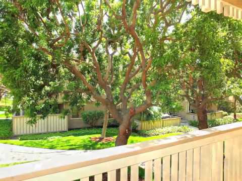 21372 Brookhurst 224 Mls