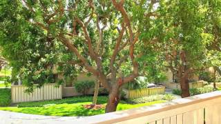 21372 brookhurst  #224 mls