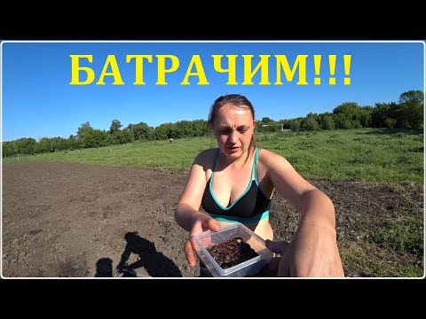 Деревенские будни / Посадки / Почему трактор не собираешь? / Семья в деревне