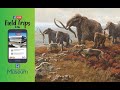 Field Trip To The NYSM The Ice Ages Exhibit