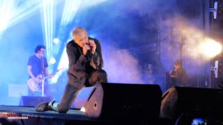 Buitres 25 años - La Copa - En Vivo Montevideo