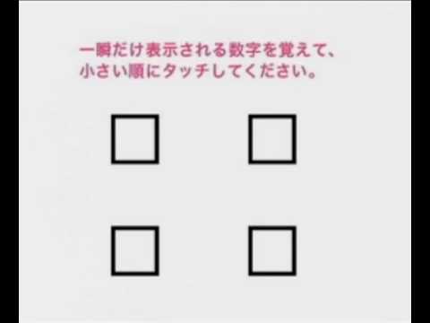 Minna no Nintendo Channel - Brain Age: Train Your Brain in Minutes a Day! Trailer