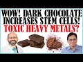 Dark Chocolate Increases Stem Cells! What About Heavy Metals Found In Chocolate?