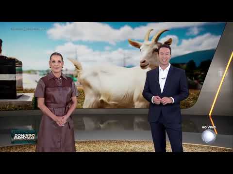 Domingo Espetacular com Dudu Camargo (Riachão  do Dantas-Se) 