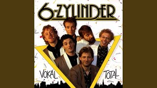 6-Zylinder Accords