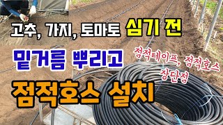 고추가지토마토 심기전 밑거름 뿌리고 고추두둑만들고 점적호스설치하기 점적호스와 테이프 장단점 가격 점적엔드 자…