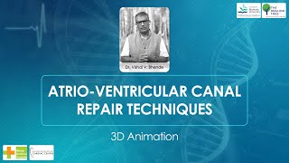 Atrio-ventricular Canal Repair Techniques 3D Animation