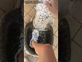 Wetlook Elisabetta In Fountain With Old Adidas Superstar