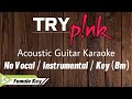 Pink - Try ( Acoustic Karaoke ) ( Instrumental No Vocal )