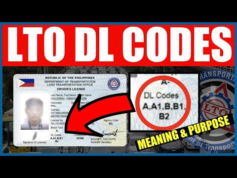 LTO DL CODES | MGA IBIG SABIHIN AT PURPOSE | DRIVER'S LICENSE RESTRICTION CODES