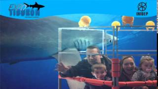 DIA 2 Expo Tiburon188