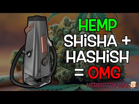 Enso Shisha and Hashish: 5 Reasons This Combo Is Next Level