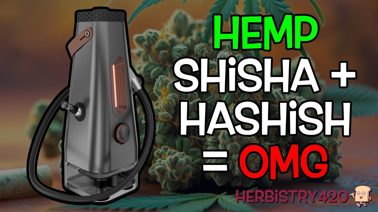 Enso Shisha and Hashish: 5 Reasons This Combo Is Next Level